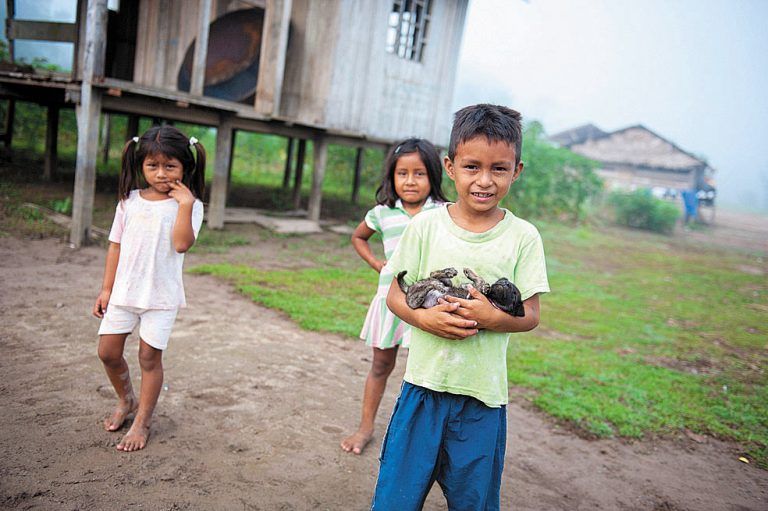 Noch heute gibt es im Amazonas indigene Völker, die hier unter einfachsten Verhältnissen leben.