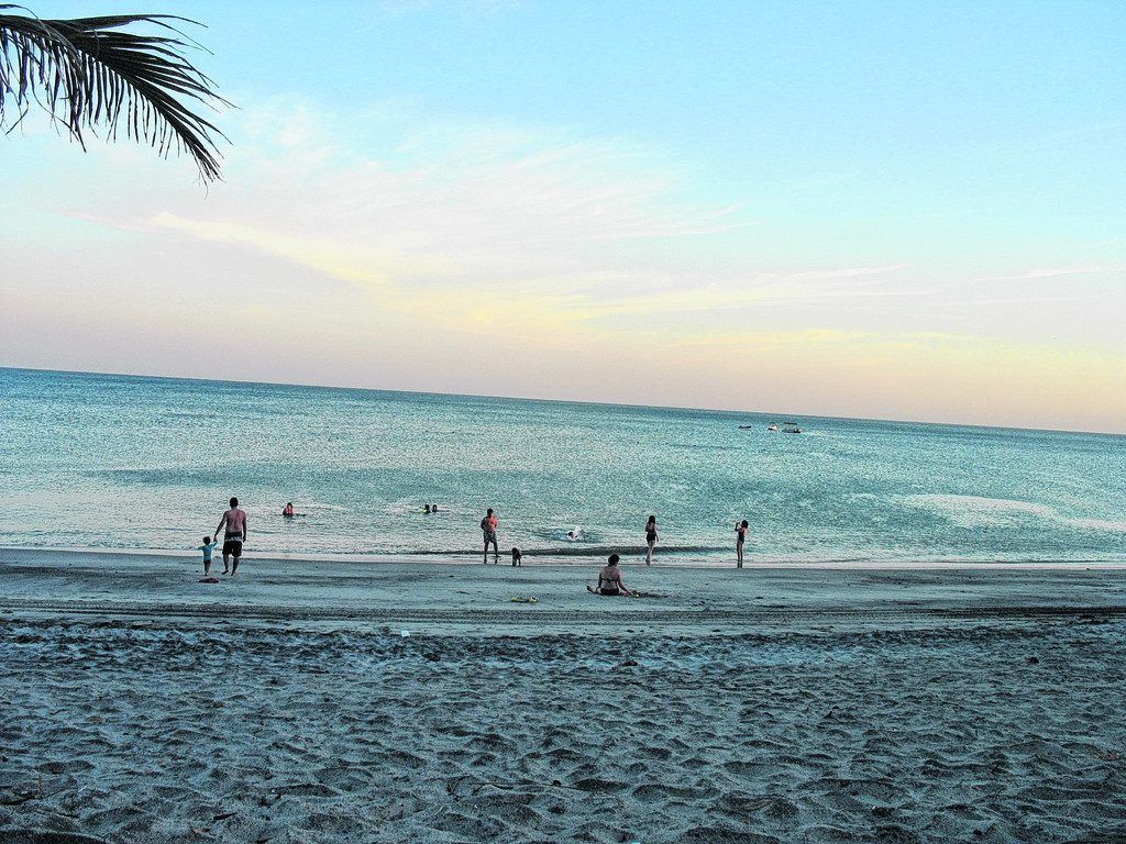 Aus dem Urwald ans blaue Meer