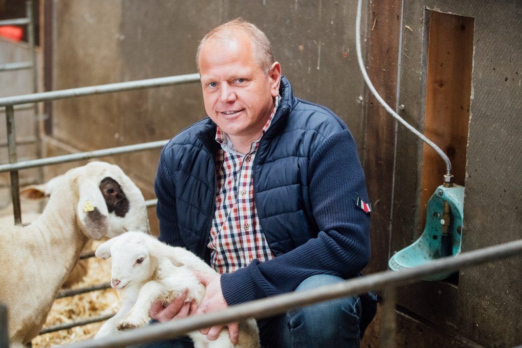 Lammfleisch ist im Trend: &#8220;Die Nachfrage wird immer größer&#8221;