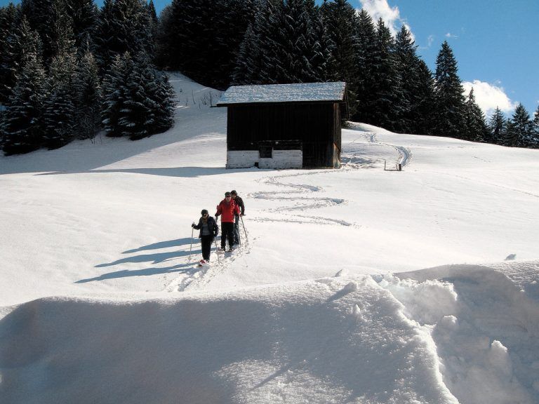 processed by Octavian