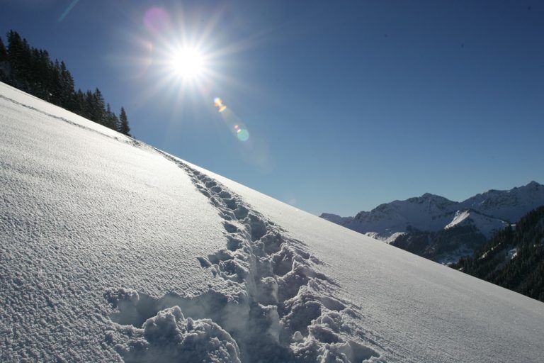 SchneeschuhwanderungDie Wanderung führt fernab der Straßen durch die Kernzone Tiefenwald. Teilnehmer genießen die Ruhe der Natur und erhalten interessante Infos zum Biosphärenpark und der Kernzone.  