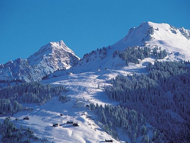 SnowvolleyballGespielt wird zwei gegen zwei auf einem extra präparierten Spielfeld auf der Unterpartnom-Alpe in direkter Nähe zum Partnom Hüsli im Skigebiet Sonntag-Stein.