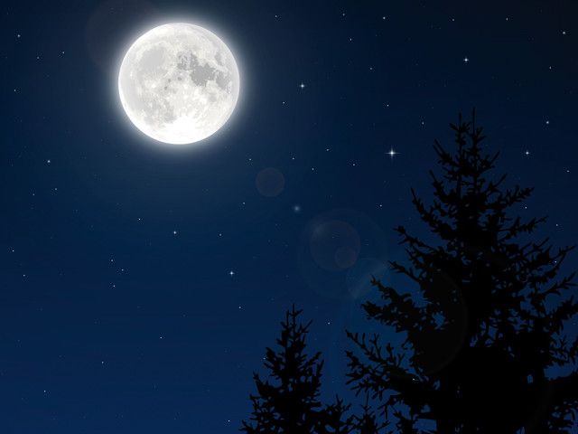 Sterne im WinterZwischen Jänner und April finden Sternenbeobachtungen auf der Tschengla statt. Dabei entführt Patrick Hartmann die Gäste mit seinem Teleskop in entfernte Galaxien.