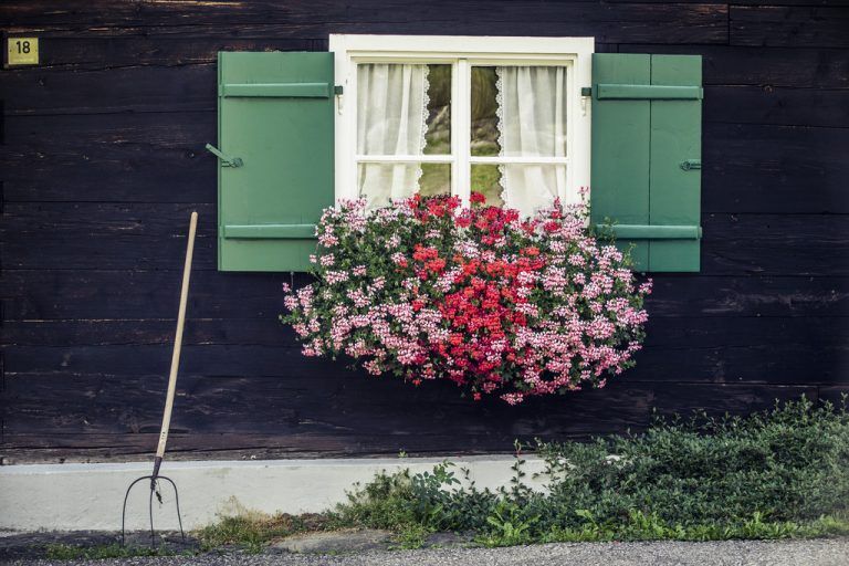 Walser-Mini-Dialektkurs Was ist das Besondere an einem Walser Haus? Was ist eine Brüüge, was ein Seelenloch oder ein Vorhuus? Fragen rund um die Walser Baukunst und Lebensweise werden bei einer leichten Themenwanderung geklärt.