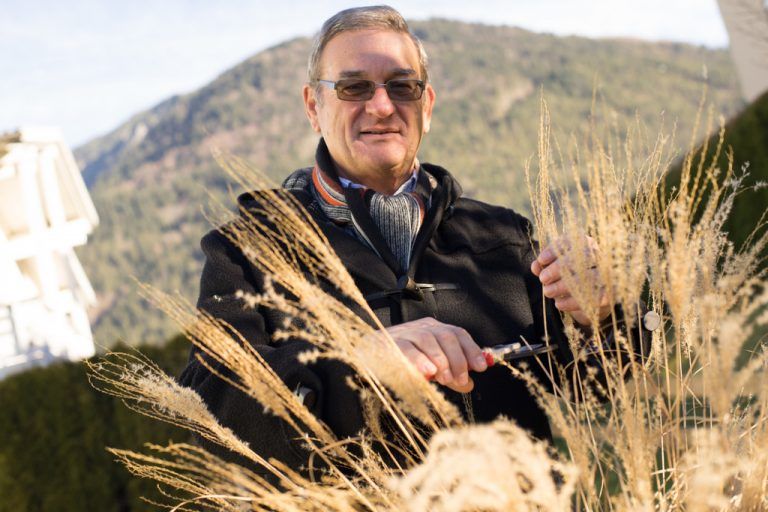 „Wenn ich in den Garten gehe, fällt alle Last von meinen Schultern“, sagt Norbert Carotta.  Foto: VN/Hartinger