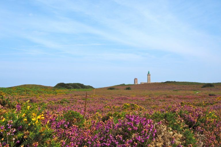 Wunderbare Blumen und tolle Wandermöglichkeiten.