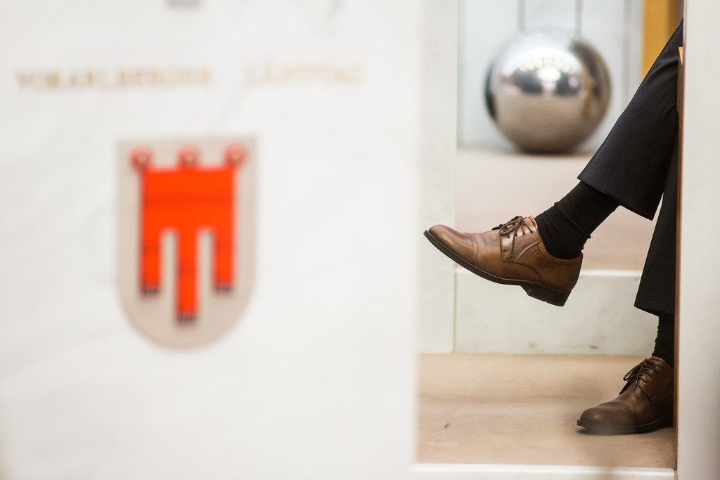 Vor einem Jahr konstituierte sich der aktuelle Landtag. Die VN befragten sechs Neulinge.