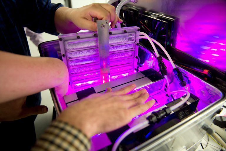 ABD0013_20150707 - Ein Mann entnimmt am 23.06.2015 in einem Labor in der Universität Stuttgart (Baden-Württemberg) eine Reaktorkammer aus einer Box mit einem Prototyp eines Photobioreaktors. Forscher versuchen durch den Einsatz von Algen im Weltraum Sauerstoff und Nahrung für Astronauten herzustellen. Foto: Daniel Naupold/dpa (zu lsw-Korr «Vom Sauerstofflieferanten zum Snack - Algen im All» vom 07.07.2015) +++(c) dpa - Bildfunk+++