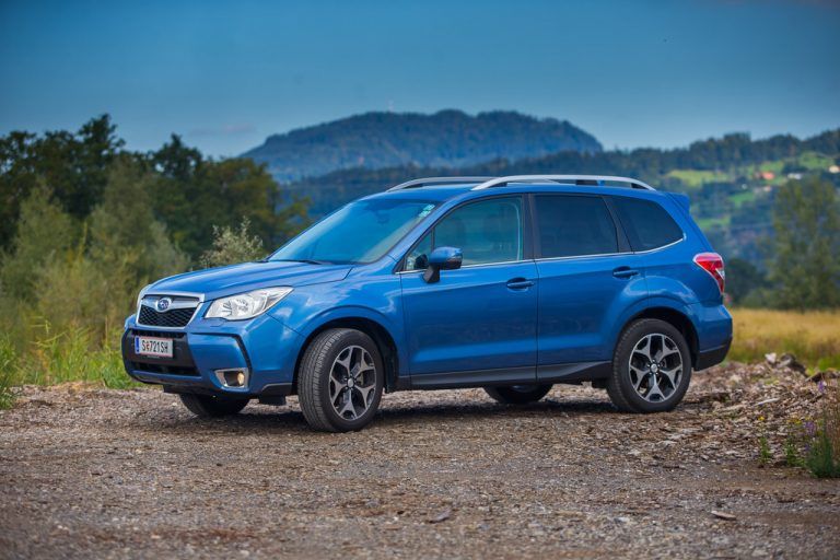 Abstecher ins Gelände: Der robuste Subaru Forester meistert solche Aufgaben mit Bravour. Fotos: vn/Steurer