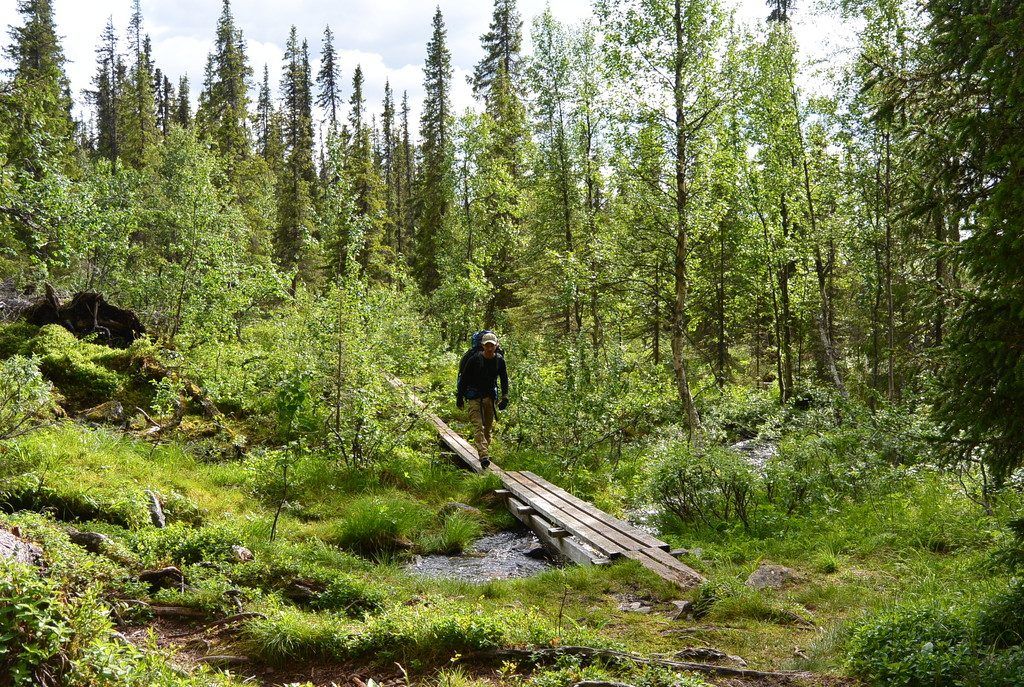 Lappland: Die letzte Wildnis in Europa