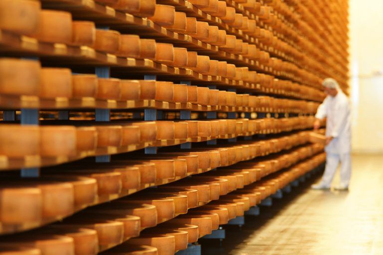 Das „Gold“ des Bregenzerwaldes soll in Berlin die Feinschmecker aus aller Welt begeistern.  Foto: Berchtold