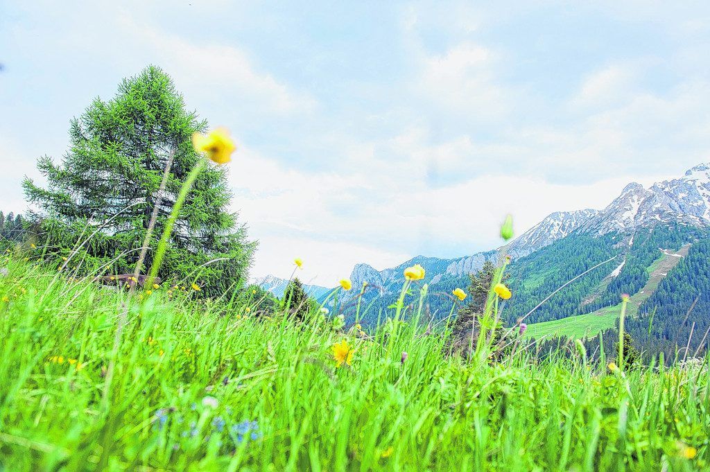 Törggelen: Im alten Stil zum Wein