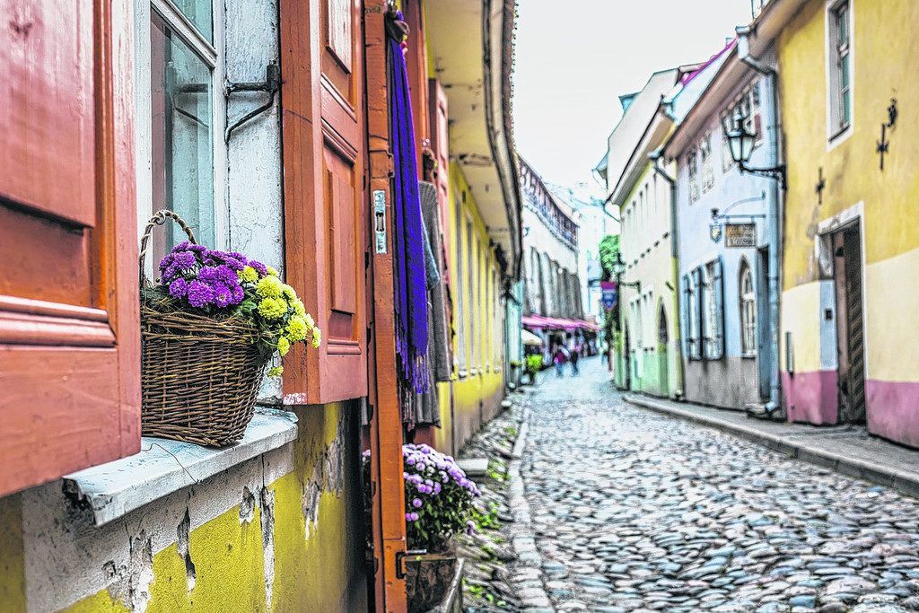 Viel zu entdecken in Tallinns Altstadt