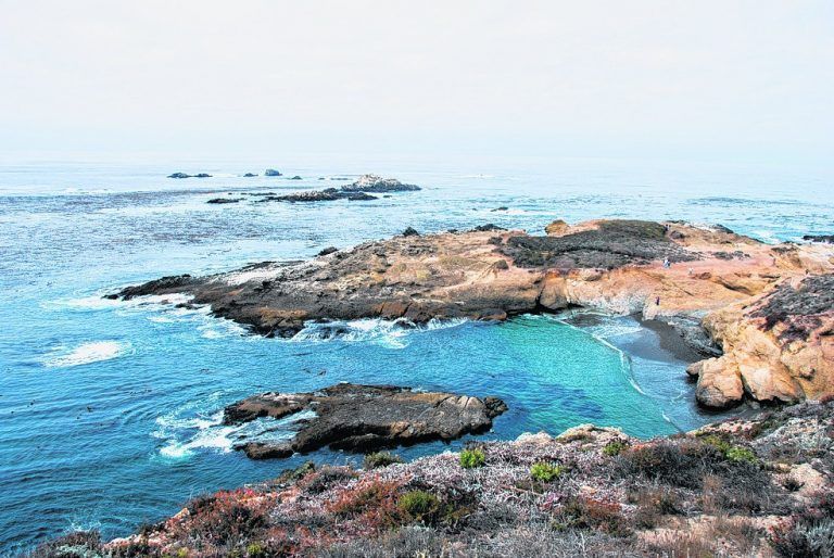 Das Naturschutzgebiet Point Lobos befindet sich am Highway 1, südlich von Monterey in Kalifornien.