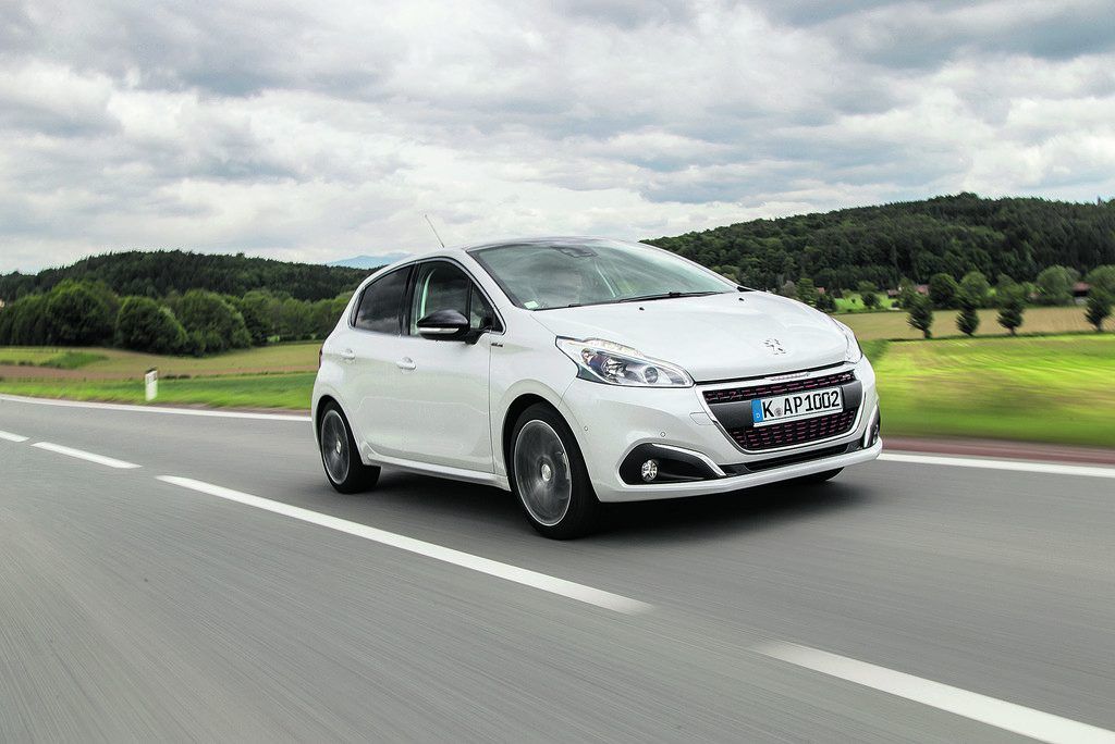 Kleiner Löwe mit erwachsener Technik