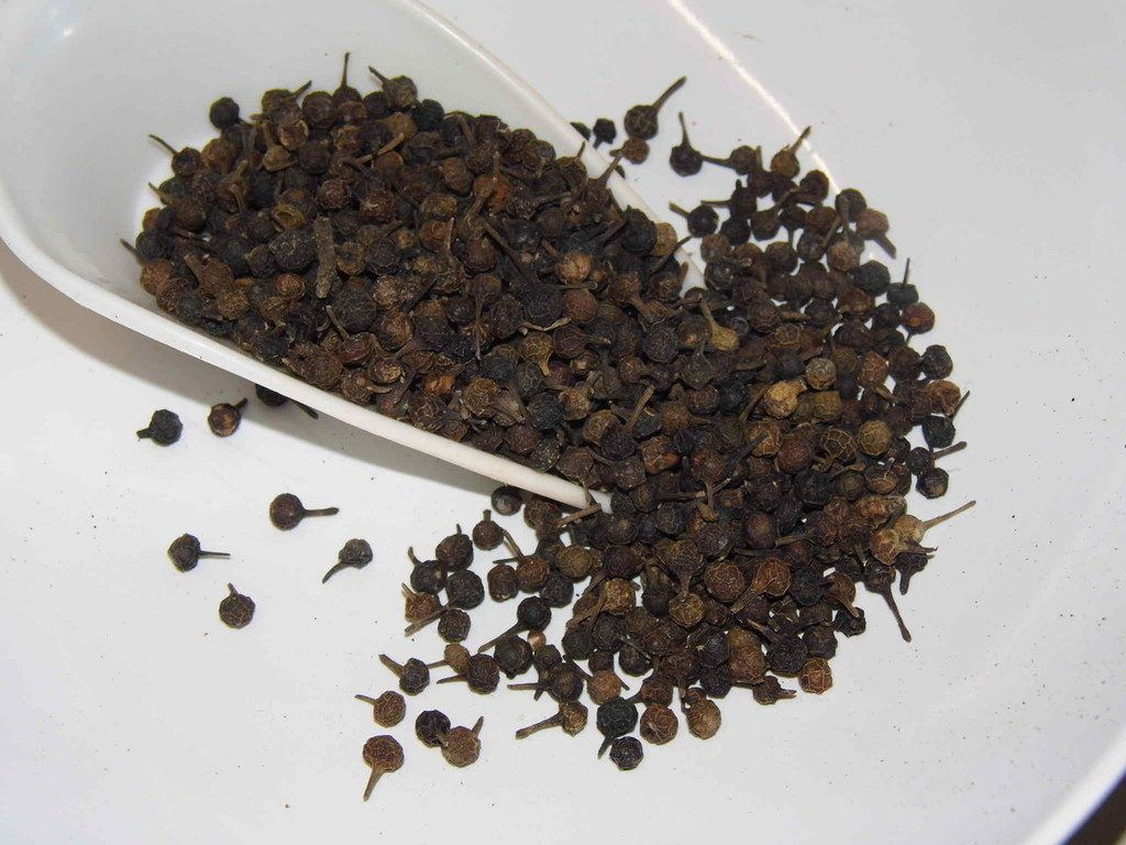 Naturheilmittel werden beliebter