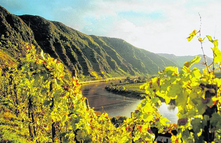 Der Moselradweg führt an wunderschönen Weinbergen vorbei, wo Winzer zum Nächtigen einladen. Foto: Mosellandtouristik GmbH