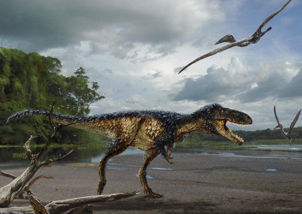 Forscher präsentieren  neuen Vorfahren des T-Rex