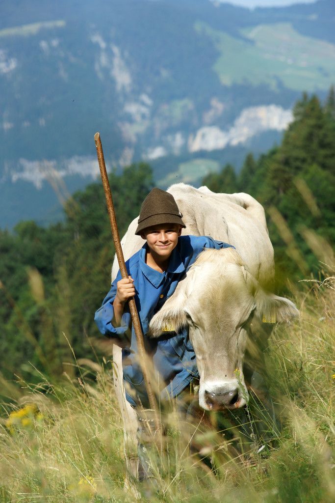 Die Alp kann wunderschön sein. Doch heuer macht die Trockenheit den Tieren zu schaffen. Foto: Berchtold