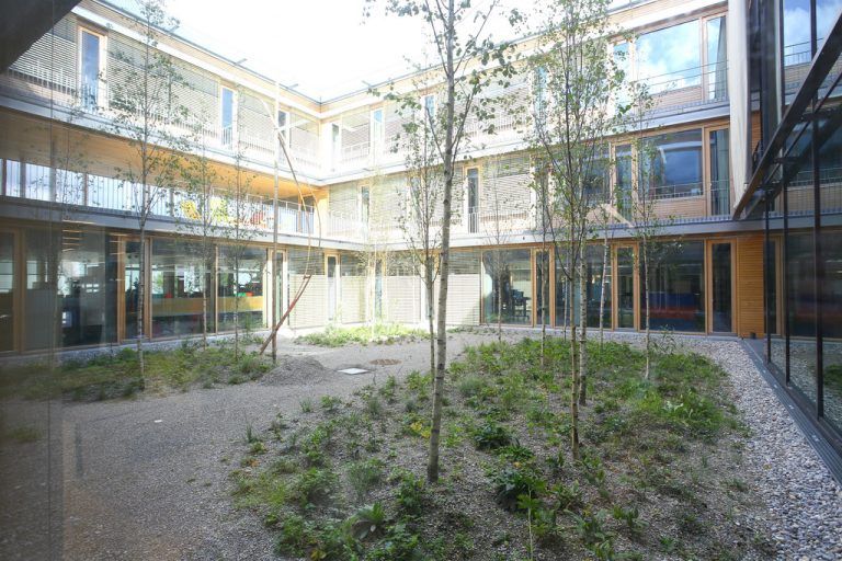 Die artenreiche Bepflanzung begeistert auch Biologen.