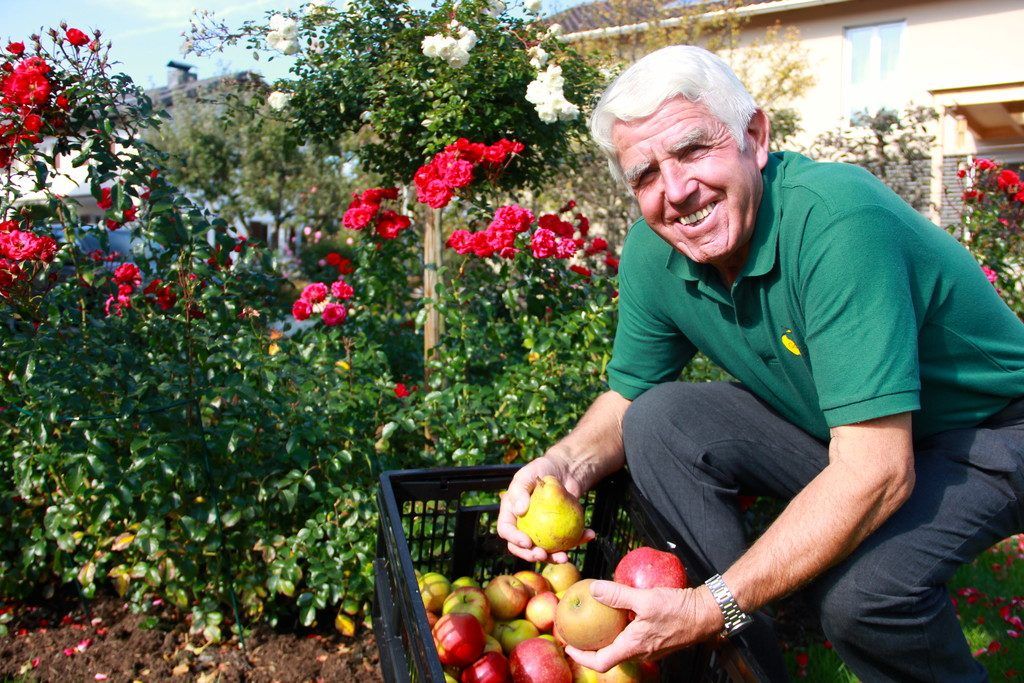 Wenn Arbeit Früchte trägt