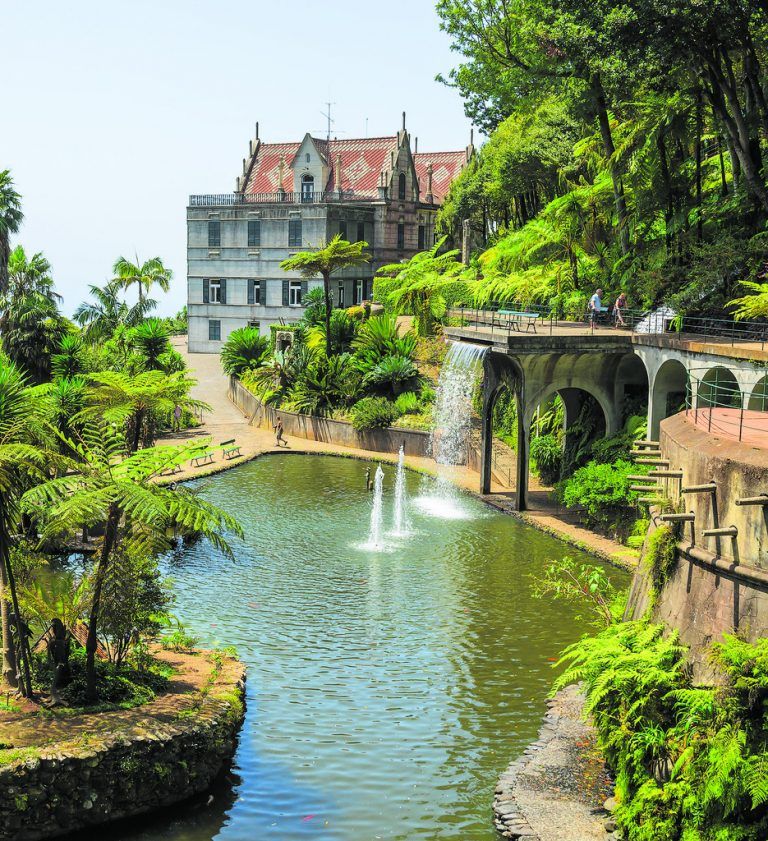 Die größte Pflanzenvielfalt Madeiras findet man im botanischen Garten der Hauptstadt Funchal. shutterstock (5)