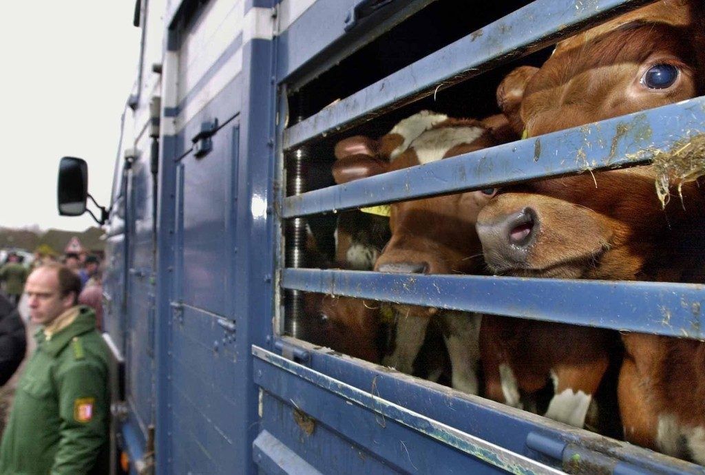 Vorarlberger Tierhändler wehren sich