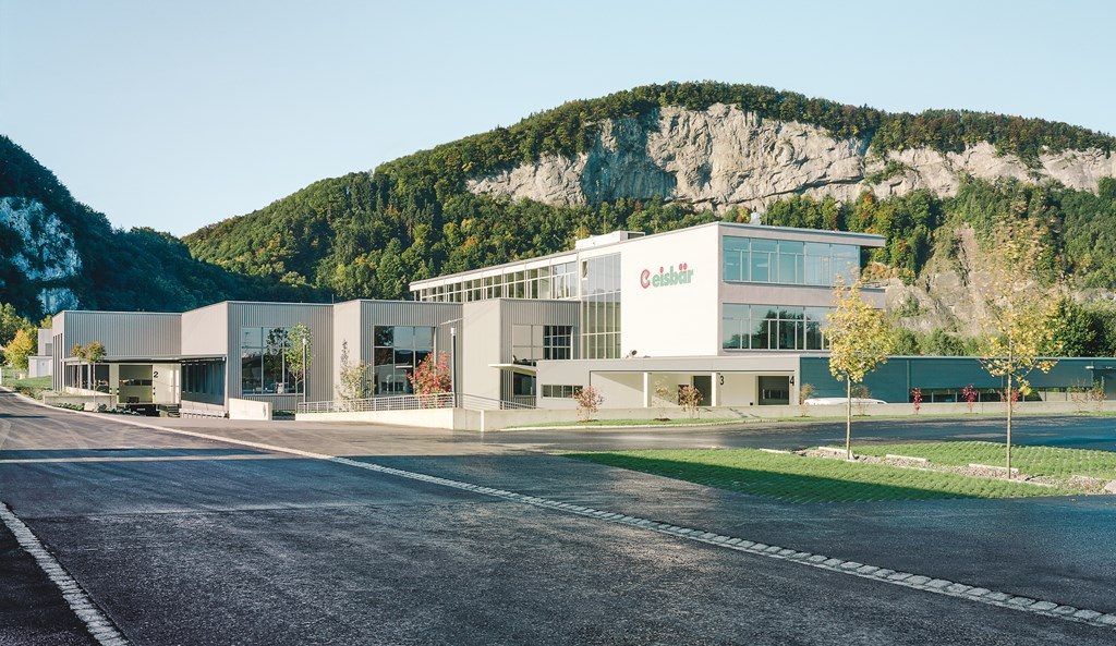 Eisbär braucht in Götzis mehr Platz