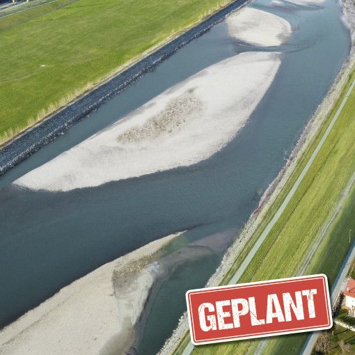 Kampf für Öko-Oase am Rhein
