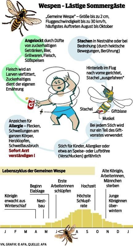 Der Adrenalinkick wirkt nur für eine kurze Zeit