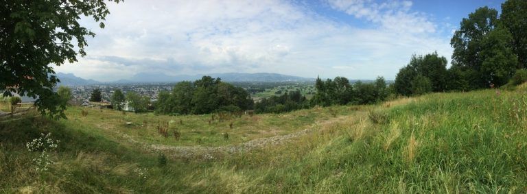 Wenn aus einer landwirtschaftlich genutzten Wiese ein Betriebsgelände werden soll, ist die Raumplanung gefragt. Foto: VN/Prock