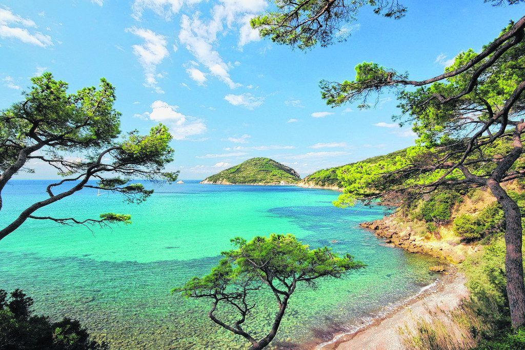Abwechslungsreiche Natur auf Elba