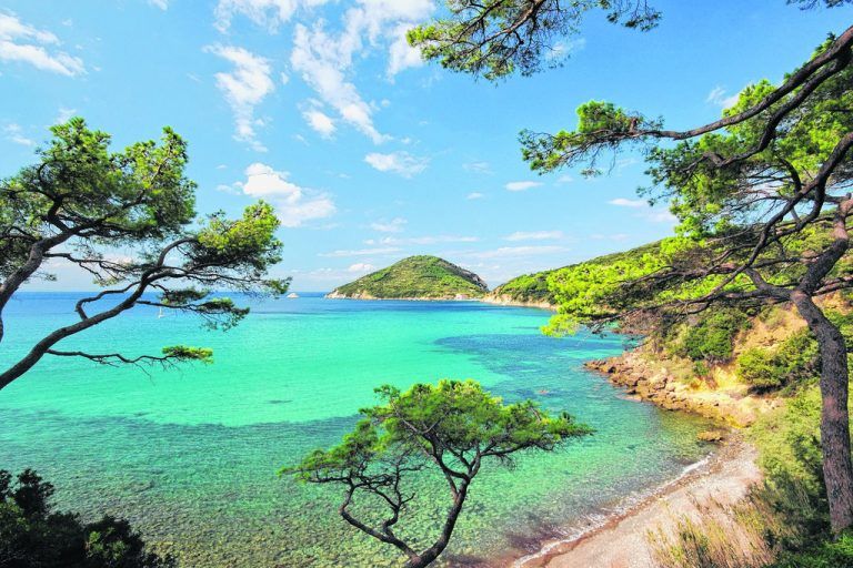 Abwechslungsreiche Natur auf Elba