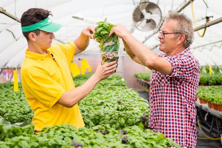 Lehrling zu Besuch beim Bio-Bauern