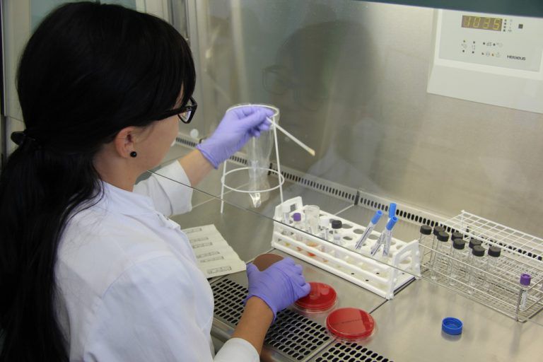 Abstriche geben Aufschluss über die Besiedlung eines Patienten mit möglicherweise gefährlichen Erregern. symbolfoto: vol.at