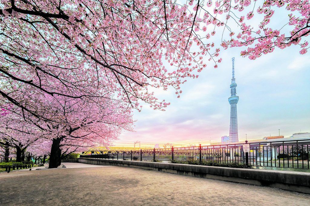 Tokio: Frau Misuzu sieht rosa