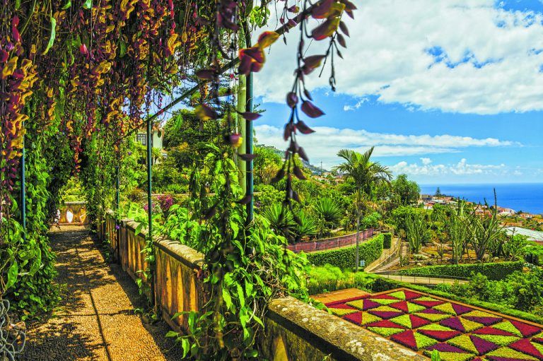 Madeira: Insel der Gärtner