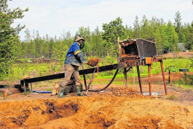 Goldgräber Gilbert Baeriswyl auf der Suche nach Gold. Foto: Rasso Knoller