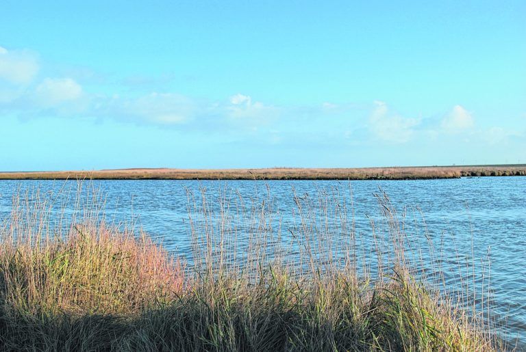 Herrliche Naturlandschaft an der niedersächsischen Nordsee. Fotos: Edith Rhomberg