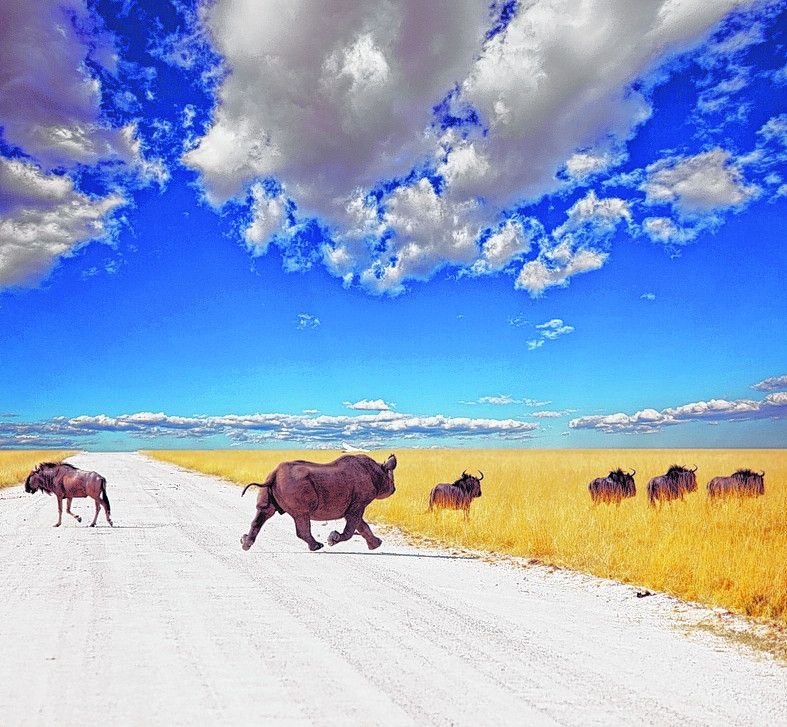 Die Suche nach den Big Five