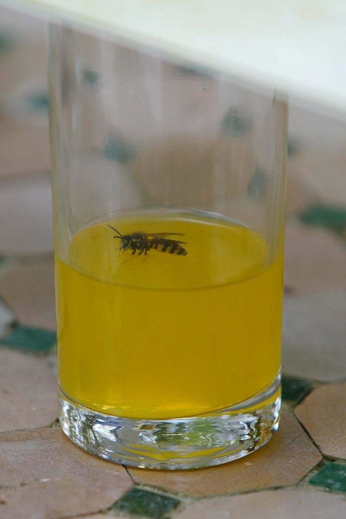 Erste Hilfe, wenn Schlangen beißen und Insekten stechen