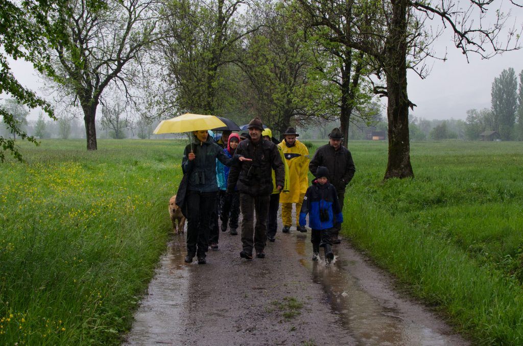 VN-Exkursion mit der Vorarlberger Jägerschaft: Reh und Hase trafen sich im Dornbirner Ried
