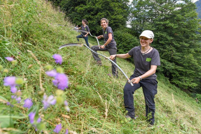 Johanna, Marlies und Ricarda (v. l.) packen in dem steilen Gelände fleißig an.  Fotos: Stiplovsek
