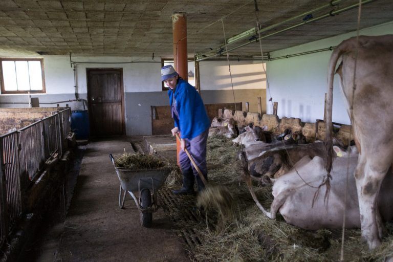 Kein Geld für die geleistete Arbeit? Ausgleichszahlungen könnten zumindest verspätet eintreffen. Foto: VN/Hartinger
