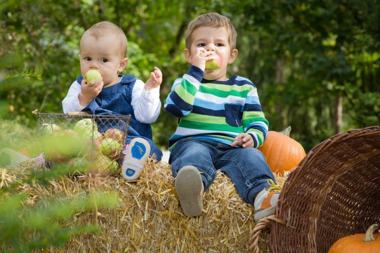 Kinder dürfen ruhig schon früh an die gesunden Genüsse des Lebens gewöhnt werden. Foto: christiane Sturmer