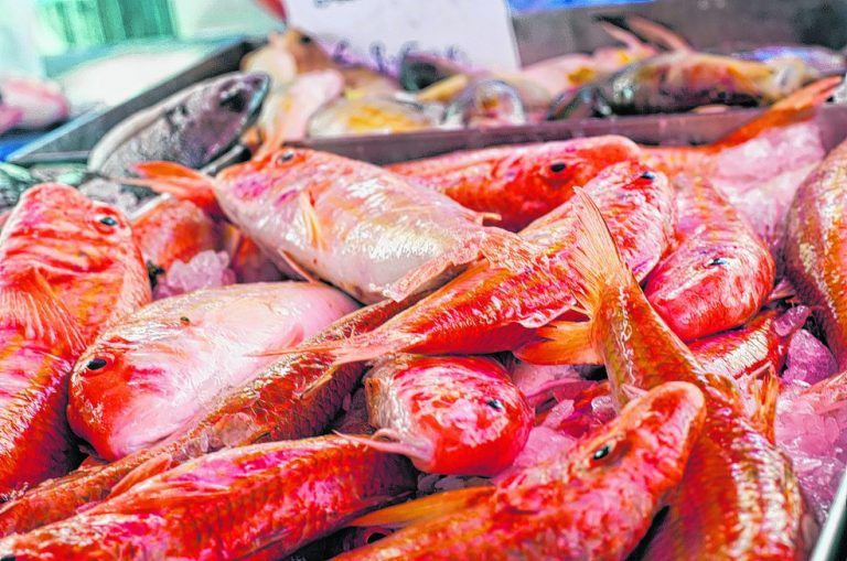 Köstliche Fische auf dem Markt in Marsaxlokk.