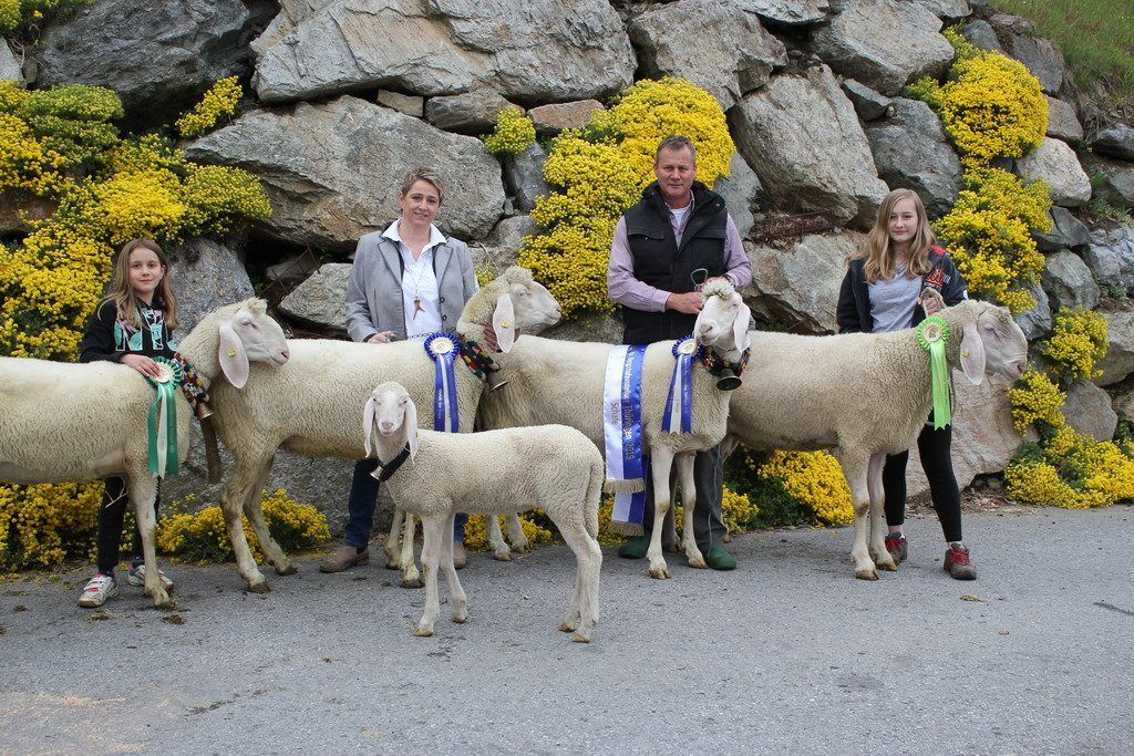 Schafzuchtfamilie