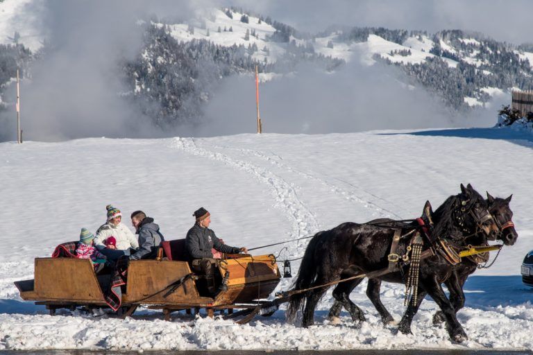 Mit Pferdeschlitten durch die Winterlandschaft. So schön könnte es in Schetteregg sein.