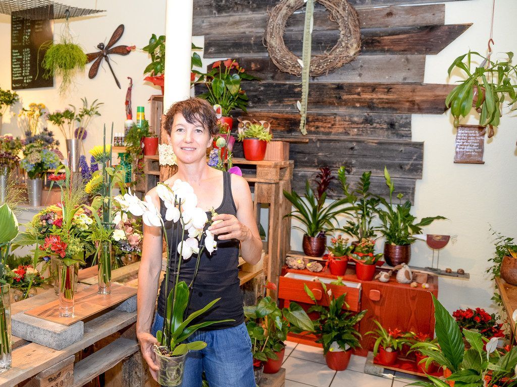 Von Amazonas-Schönheiten bis zum Gemüsesetzling: Mülli’s Blumenshop ist breit aufgestellt.