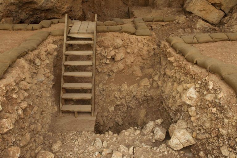 Neue Funde in der israelischen Kassem-Höhle. Die Forscher fanden Knochen und Panzer der Landschildkröten.